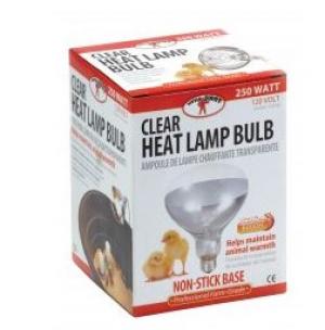 Miller Heat Lamp Bulbs Clear