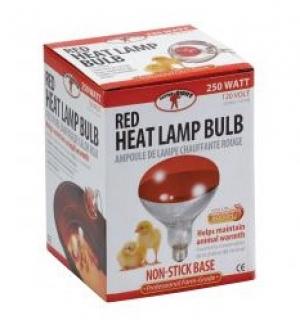 Miller Heat Lamp Bulbs Red Red