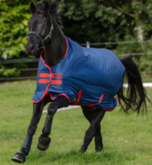 Mio Turnout Horse Blanket Medium 200G 78" Dark Blue/Red