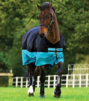 Mio Turnout Horse Blanket Medium 200G 81" Black/Turquois