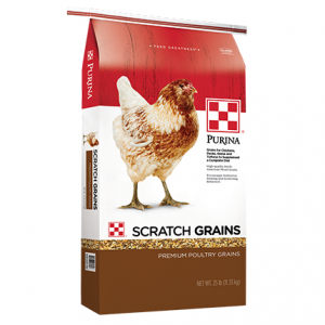 Scratch Purina 50 lbs (Poultry Feed)