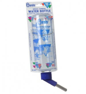Oasis Rabbit Water Bottle 16 oz