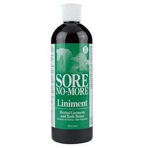 Sore No More 16 oz Spray Liniment