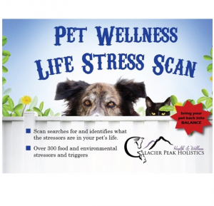 Pet Wellness Life Stress Scan Glacier Peak (Dog: Vitamins & Supplements)