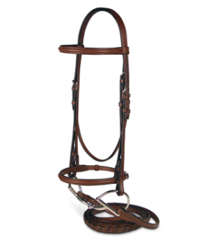 Plain Raised Bridle Cob