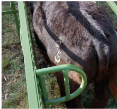 Powder River Alley Stop (Livestock Handling Equipment)