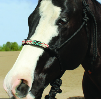 Professional Choice Halter Rope Beaded Black/Feather