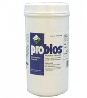 Probios 5 lbs (Digestive Aids)