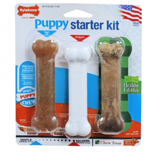 Puppy Starter Kit Regular Nylabone Dog Toy