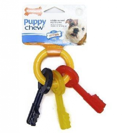 Puppy Teething Keys Large Nylabone Dog Toy