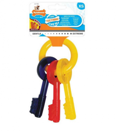 Puppy Teething Keys XS Nylabone Dog Toy