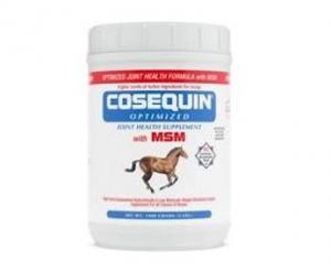 Cosequin MSM 1400 grams (Joint Supplements)