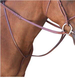 Raised Standing Martingale Cob