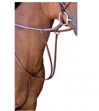 Raised Running Martingale Cob