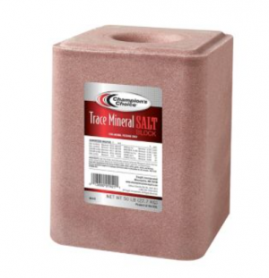 Trace Mineral Block 50 lbs (Multi Species, Salt)