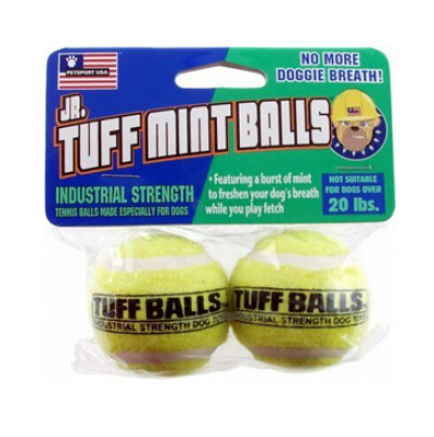 Tuff Mint Balls Jr 2 Pack Dog Toy