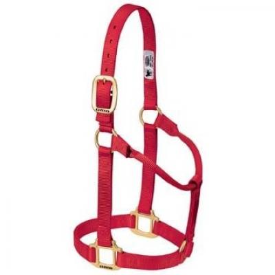 Weaver Halter Nylon Non Adjustable Large Red