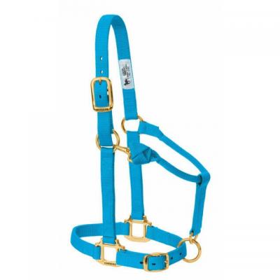 Weaver Halter Nylon Small Hurricane Blue