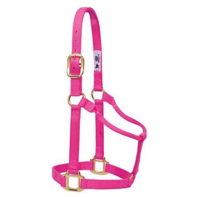 Weaver Halter Nylon Non Adjustable Average Diva Pink