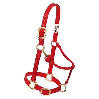 Weaver Halter Nylon Weanling Red