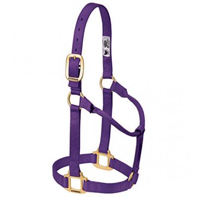 Weaver Halter Nylon Non Adjustable Average Purple