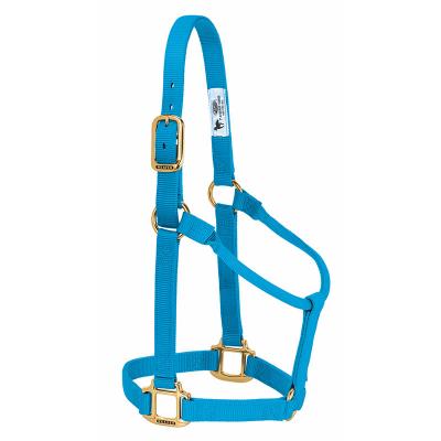 Weaver Halter Nylon Non Adjustable Average Hurricane Blue