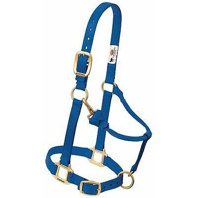 Weaver Halter Nylon Weanling Royal Blue