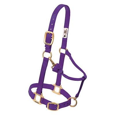 Weaver Halter Nylon Yearling Purple