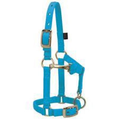 Weaver Halter Nylon Mini Large Hurricane Blue