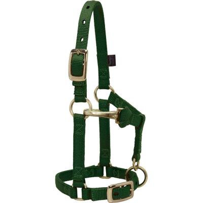 Weaver Halter Nylon Weanling Hunter Green