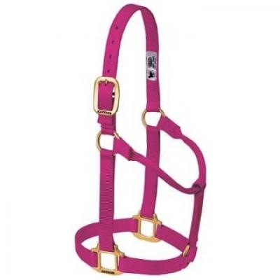 Weaver Halter Nylon Non Adjustable Large Raspberry