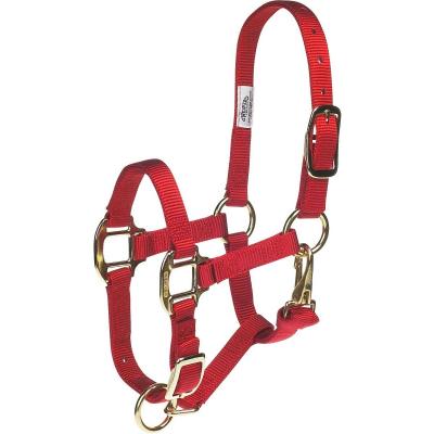 Weaver Halter Nylon Suckling Red