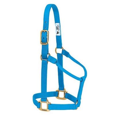 Weaver Halter Nylon Mini Average Hurricane Blue