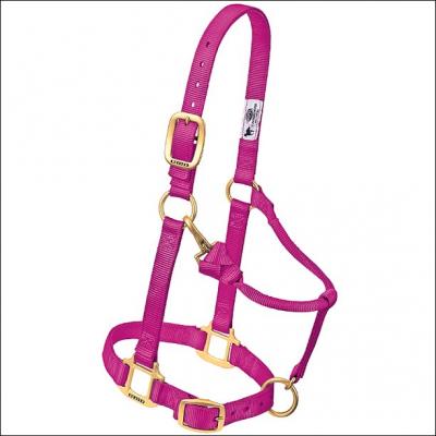 Weaver Halter Nylon Weanling Raspberry