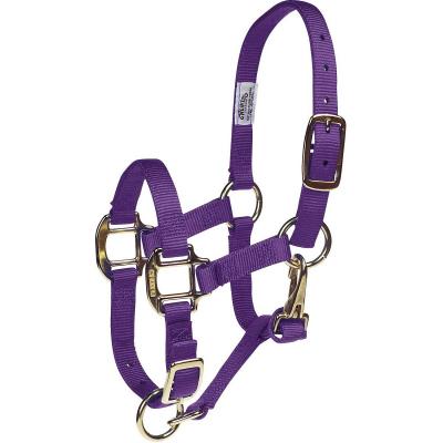 Weaver Halter Nylon Suckling Purple