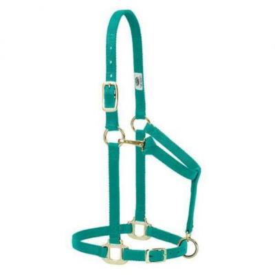 Weaver Halter Nylon Weanling Emerald Green