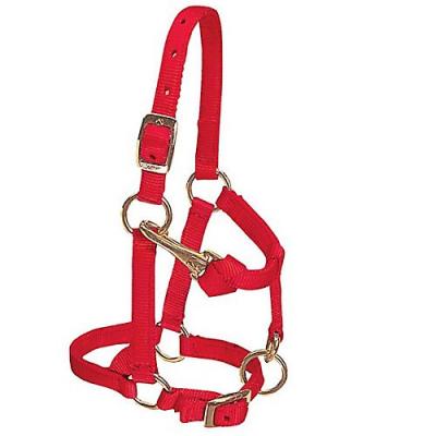 Weaver Halter Nylon Mini Red.