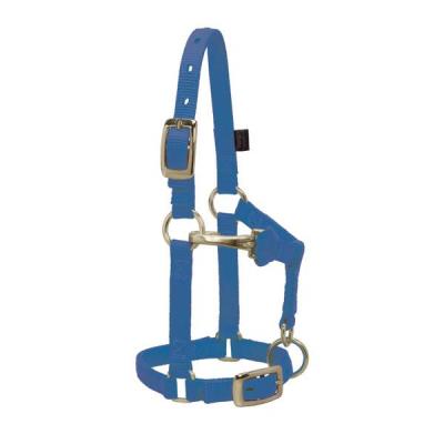 Weaver Halter Nylon Mini Average Blue