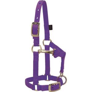 Weaver Halter Nylon Mini Large Purple