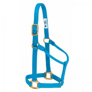 Weaver Halter Nylon Non Adjustable Average Hurricane Blue