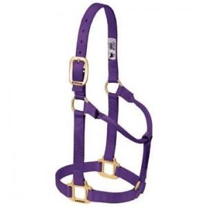 Weaver Halter Nylon Non Adjustable Large Purple