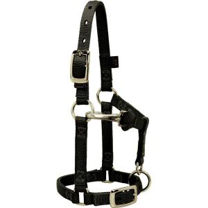 Weaver Halter Nylon Yearling Black