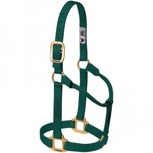 Weaver Halter Nylon Non Adjustable Large Hunter Green