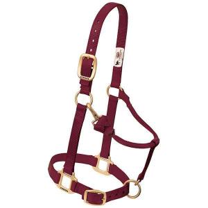 Weaver Halter Nylon Small Raspberry