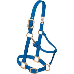 Weaver Halter Nylon Yearling Blue