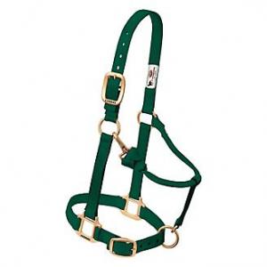 Weaver Halter Nylon Small Hunter Green