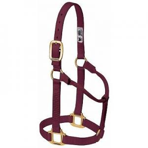 Weaver Halter Nylon Non Adjustable Large Burgandy