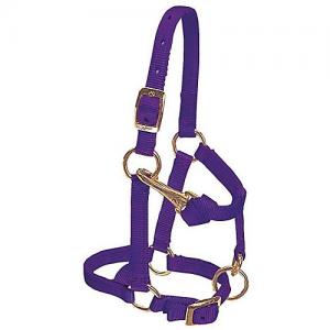 Weaver Halter Nylon Mini Average Purple