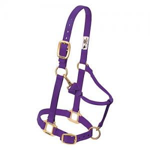 Weaver Halter Nylon Small Purple