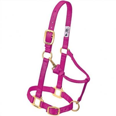 Weaver Halter Nylon Yearling Raspberry